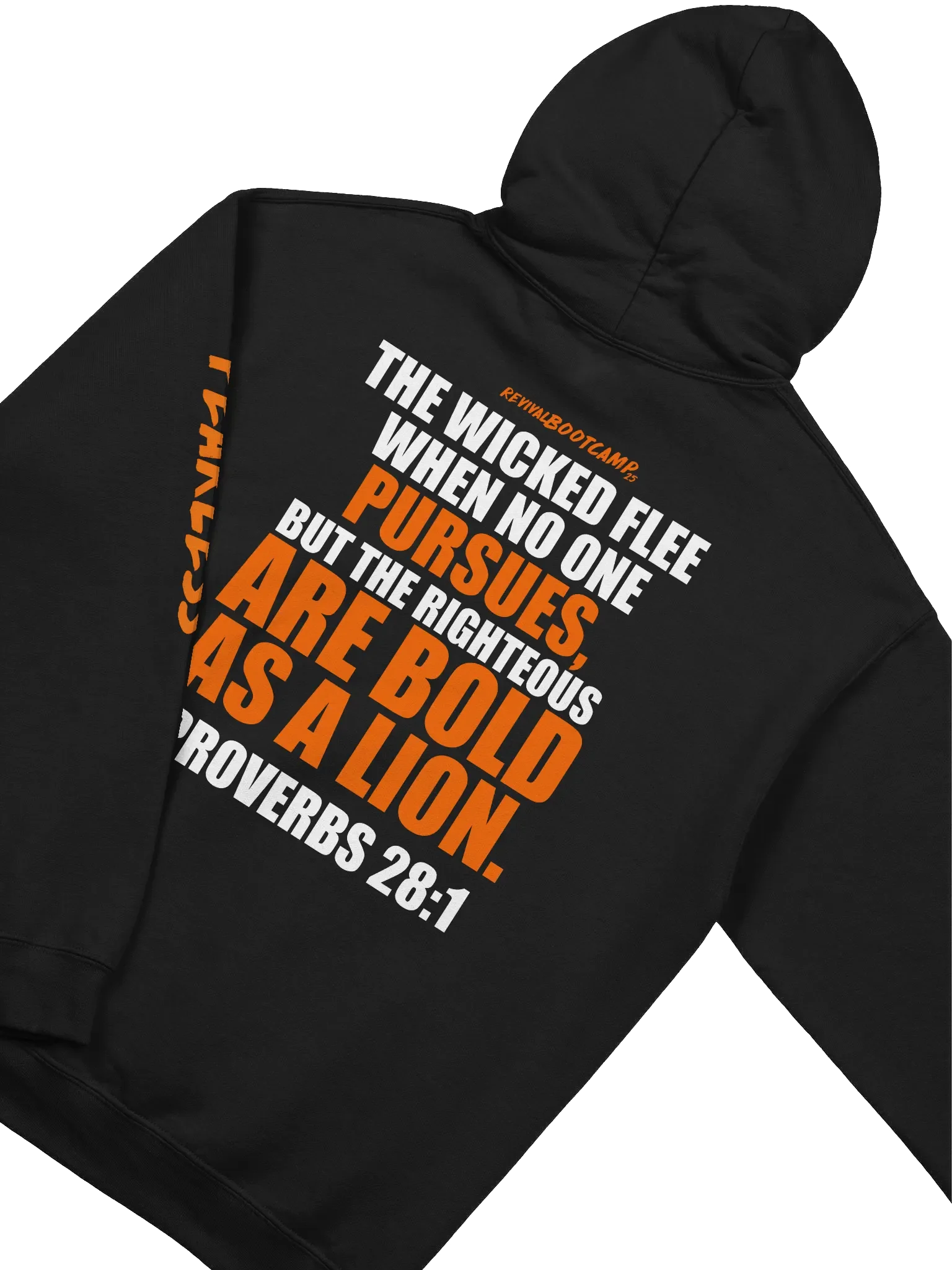 Jesus Hoodie - Fearless 2025 product image (4)