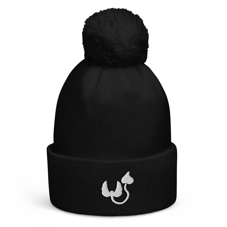Entwi Logo Beanie product image (1)