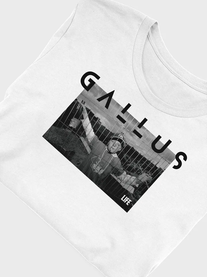 Gallus 2025 Life Collection product image (1)