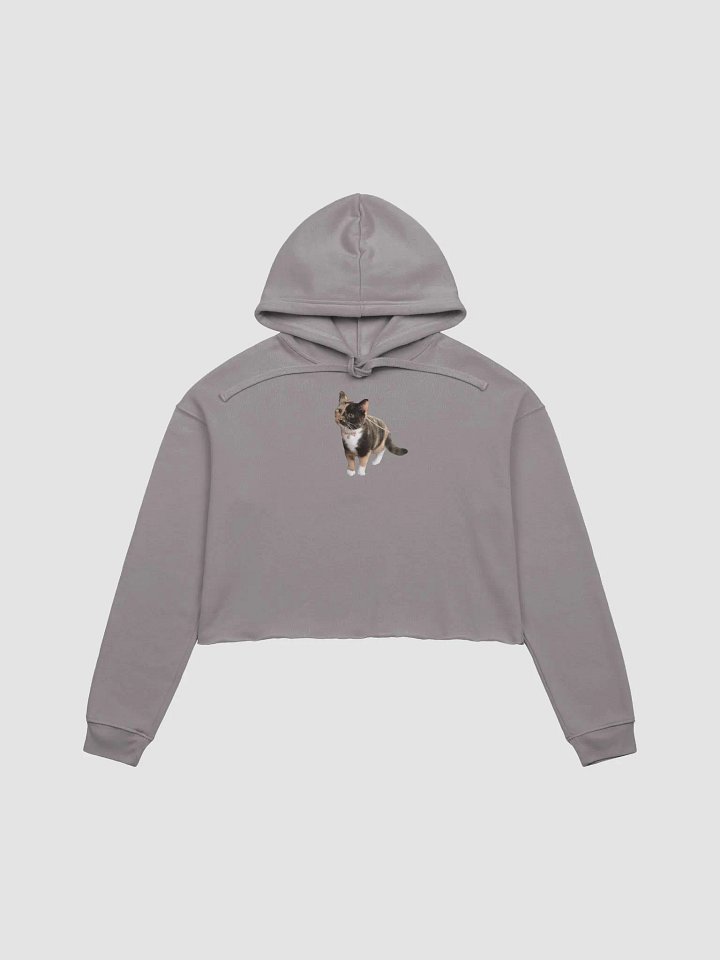 The Cutest Lyra Crop Top Hoodie product image (1)