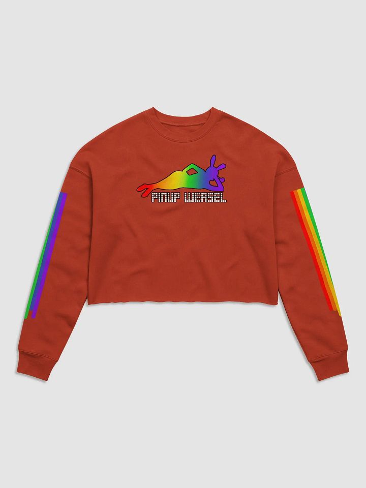 Pinup Weasel Crop Long Sleeve product image (2)