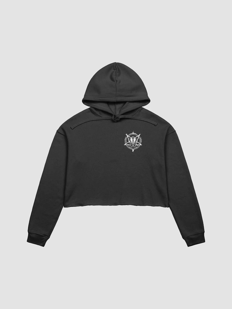 Retro Vibes Vol.1 Cropped Hoodie product image (3)
