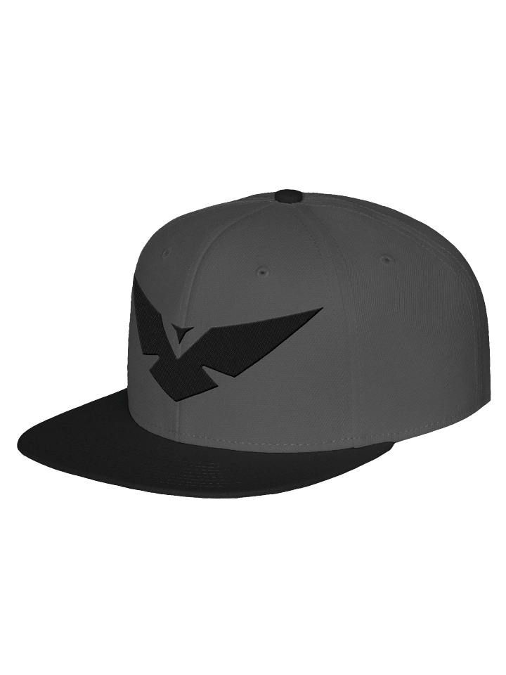Black Logo Snapback product image (1)
