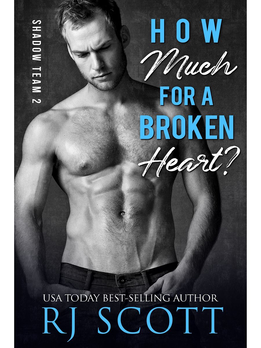 How Much For A Broken Heart? (Shadow Team 2) - paperback product image (2)