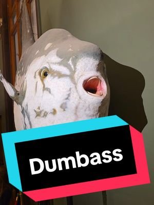 Having a great time at the Natural History Museum in Vienna. #science #biology #animals #fish #ah 