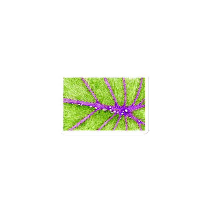 Magnet - 2022 Sketch 40 product image (1)