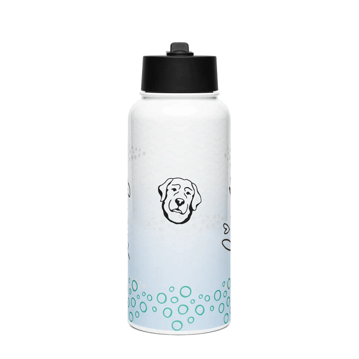 Lingling Kwong Stainless Steel Water Bottle With a Straw Lid product image (1)