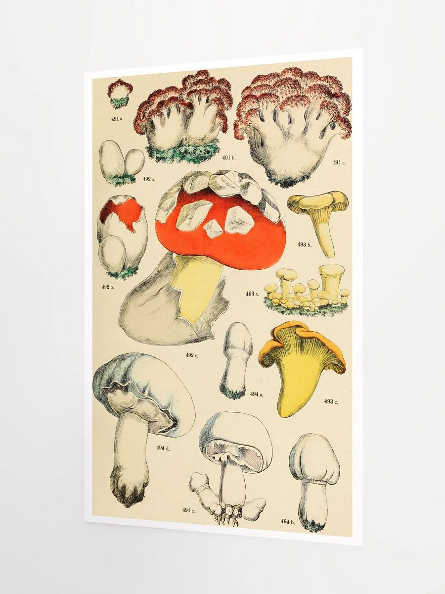 Mushroom Kingdom Illustrated Poster product image (3)