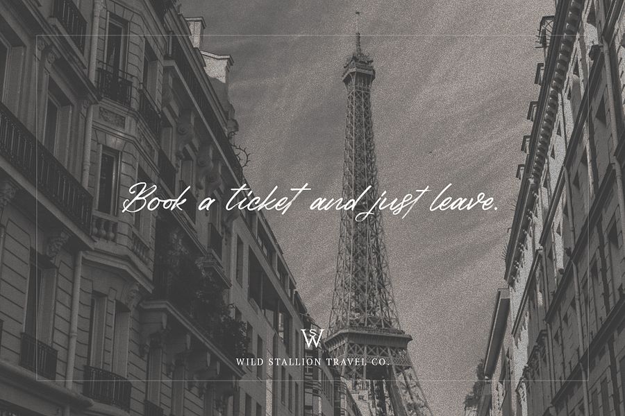 Birdinaire | A Modern Calligraphy Font product image (5)