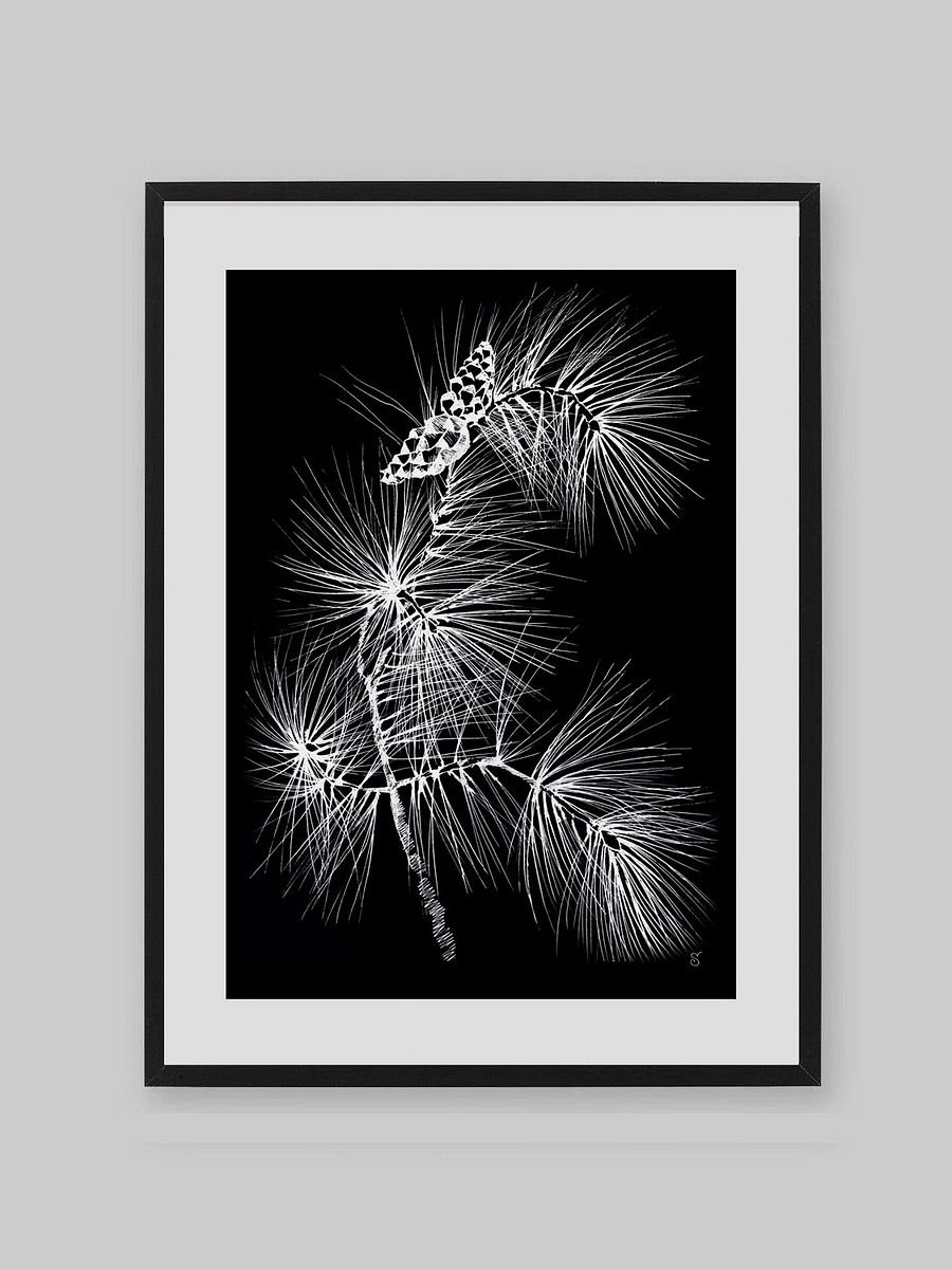 Vibrant Matte Paper Poster - Pine Branch and Cones product image (7)