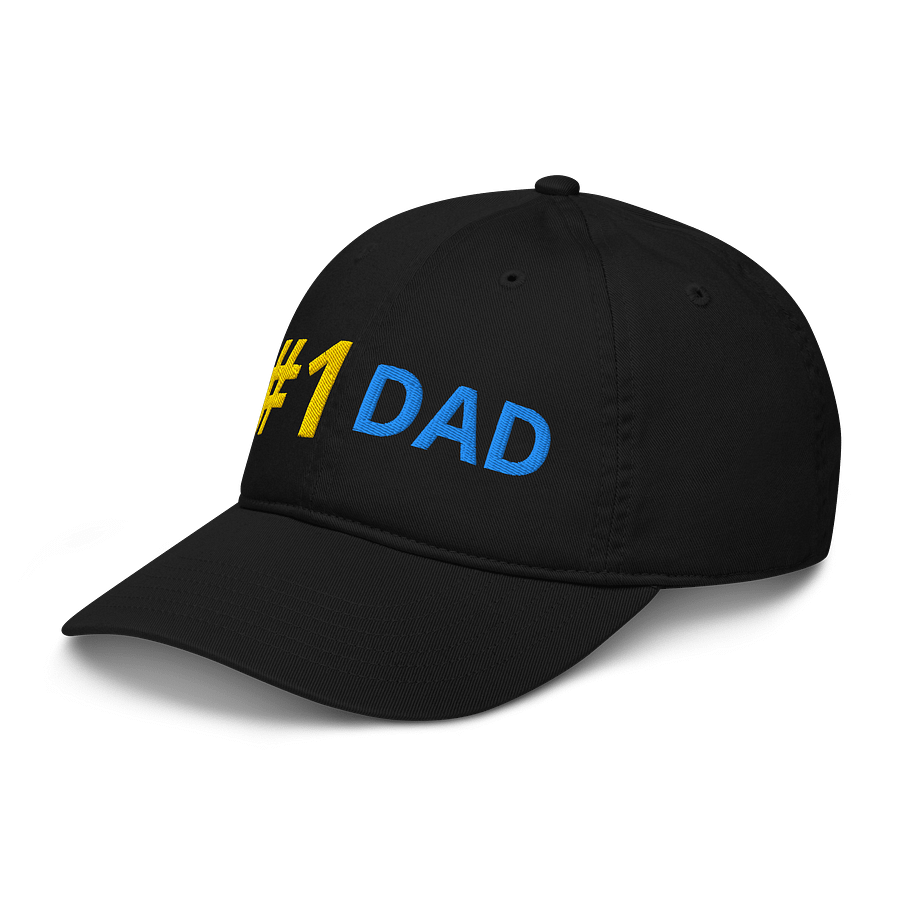 Organic #1 DAD Hat product image (5)