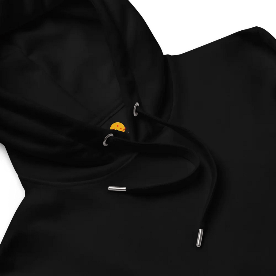 GioMetric Drippy Logo Hoodie product image (11)