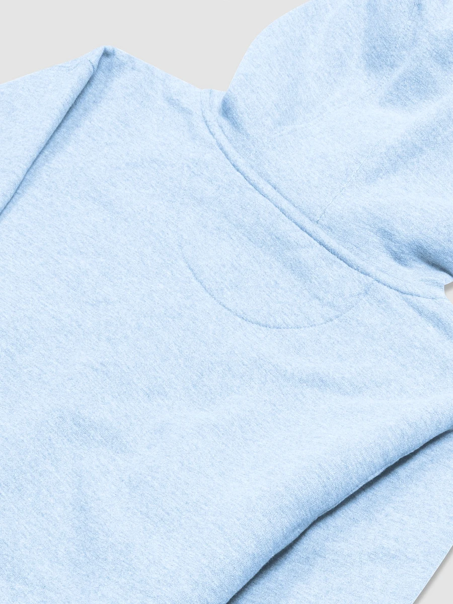 STG Rough Rose Hoodie (BABY BLUE) product image (4)