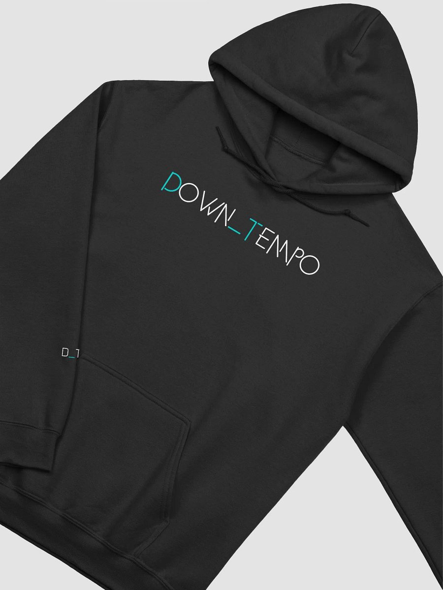 Down_Tempo Collection D_T02 Hoodie product image (4)