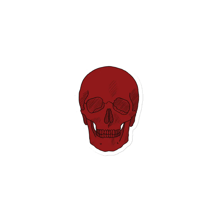 Skull magnet product image (1)