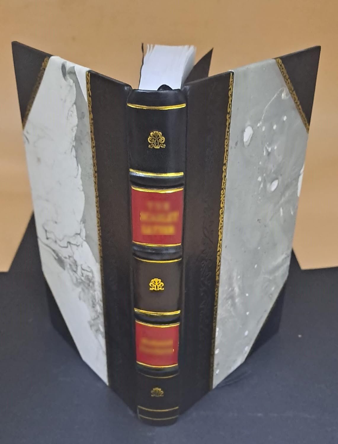 A new dictionary of the English language; by Charles Richardson. Volume v.2 1837 [Leather Bound] product image (6)