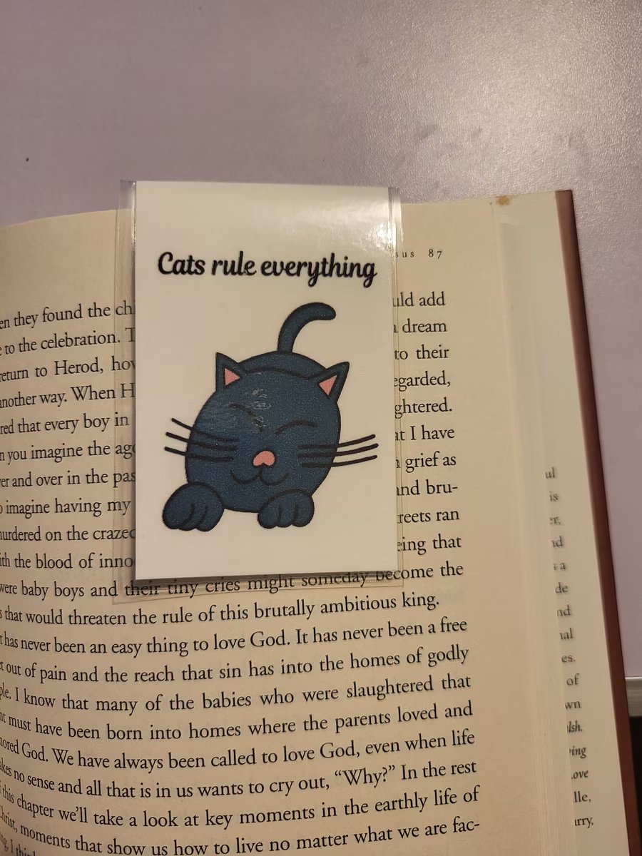 Cats Rule Everything Magnetic Laminated Bookmark product image (1)