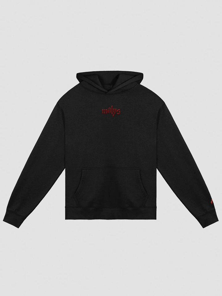 Malys Embroidered Hoodie product image (1)