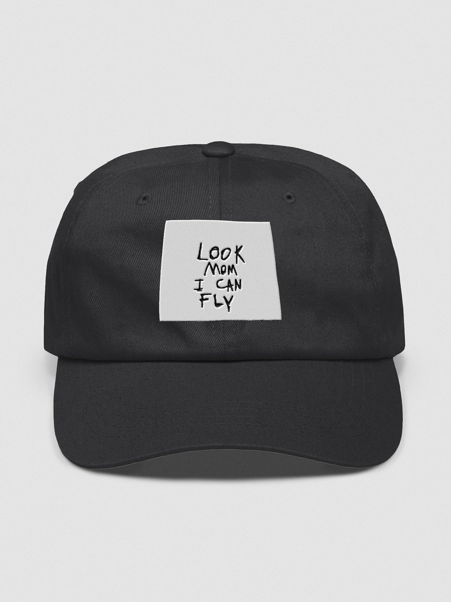 Skybound Statement Cap product image (1)