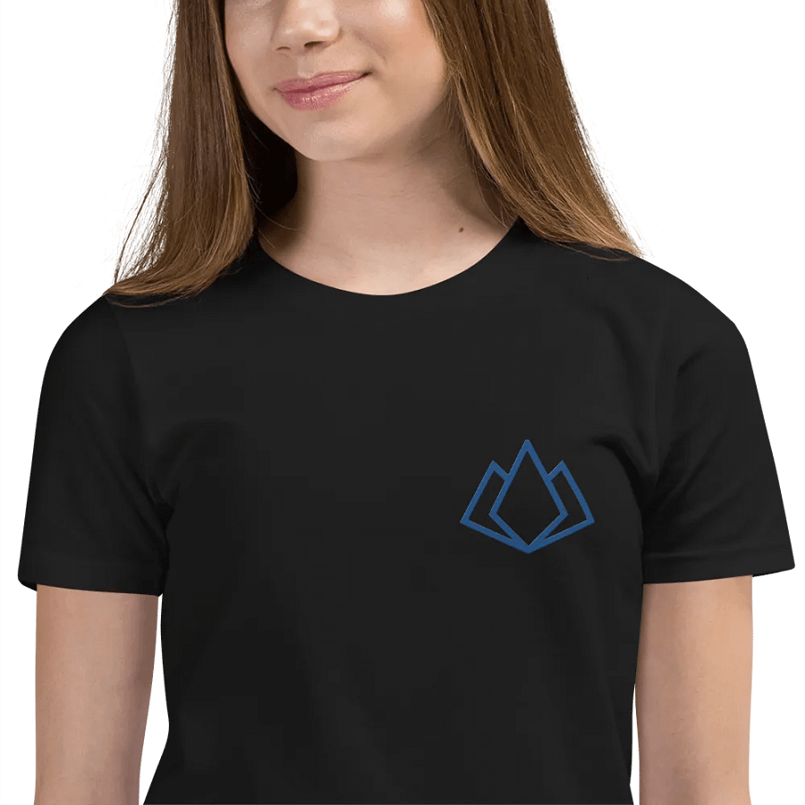 Youth Tee - Embroidered product image (12)