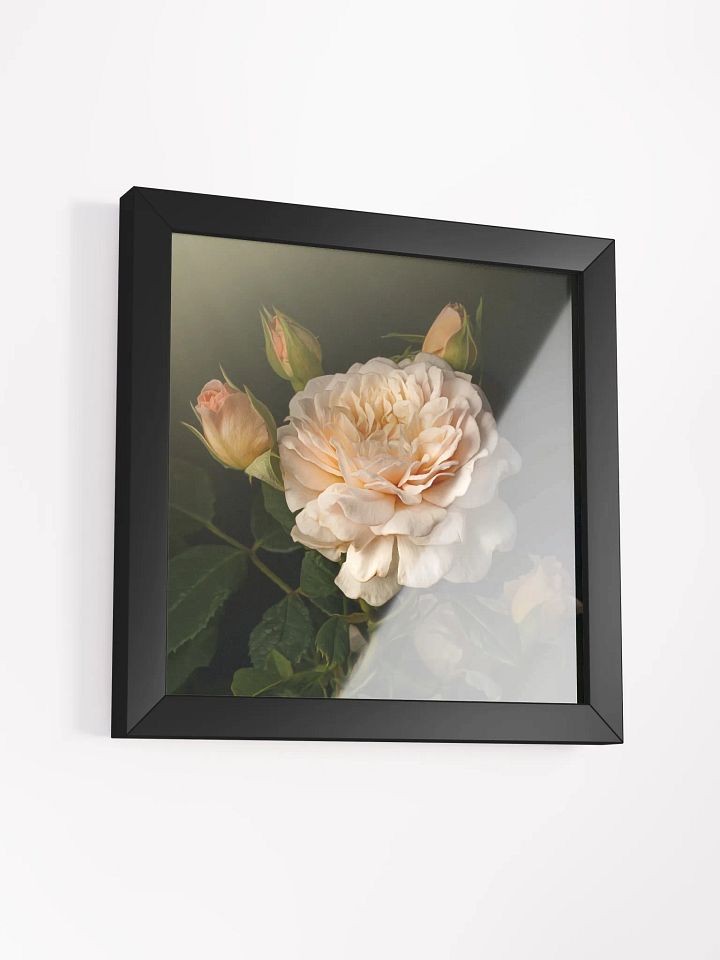 Engish Rose and Buds product image (2)