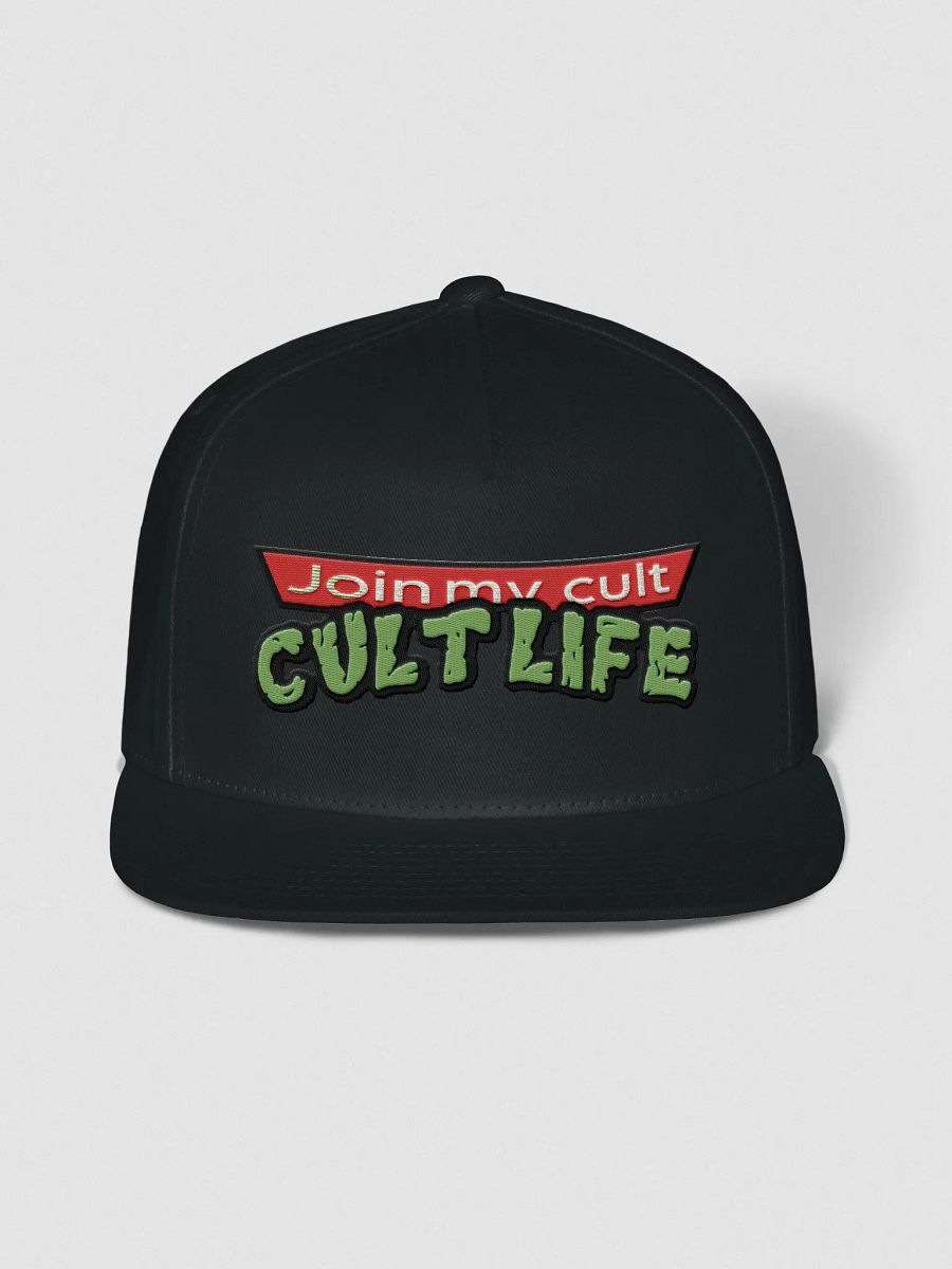 CULT LIFE TURTLES HAT product image (1)