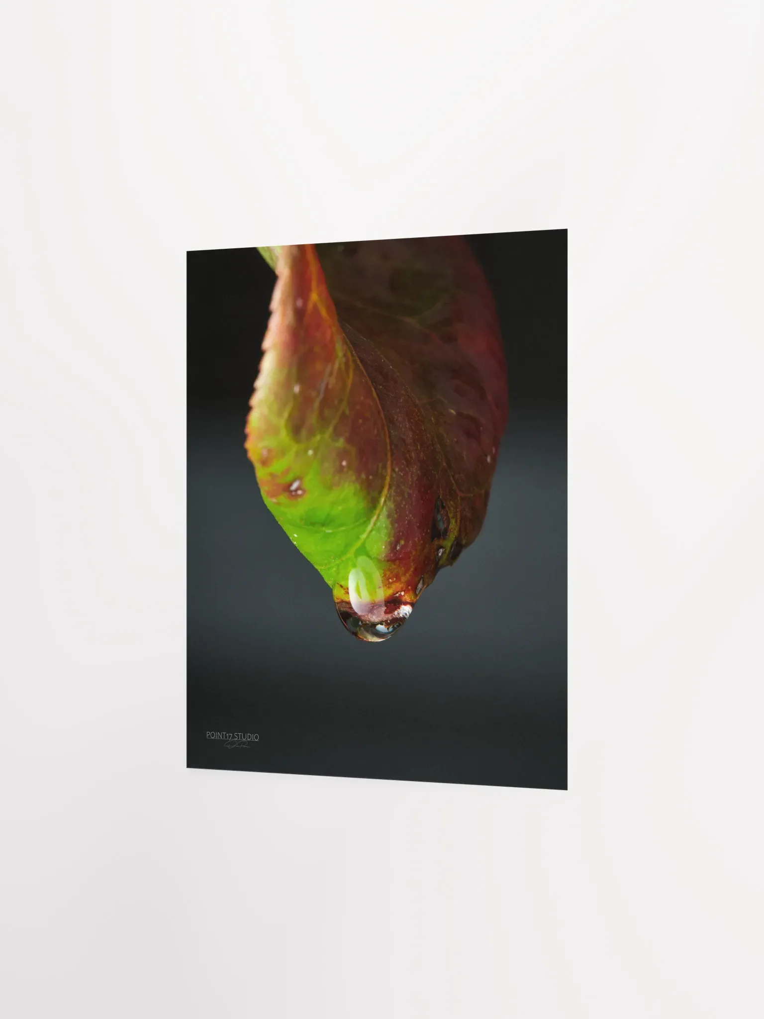 Crystal Drop - Poster product image (3)