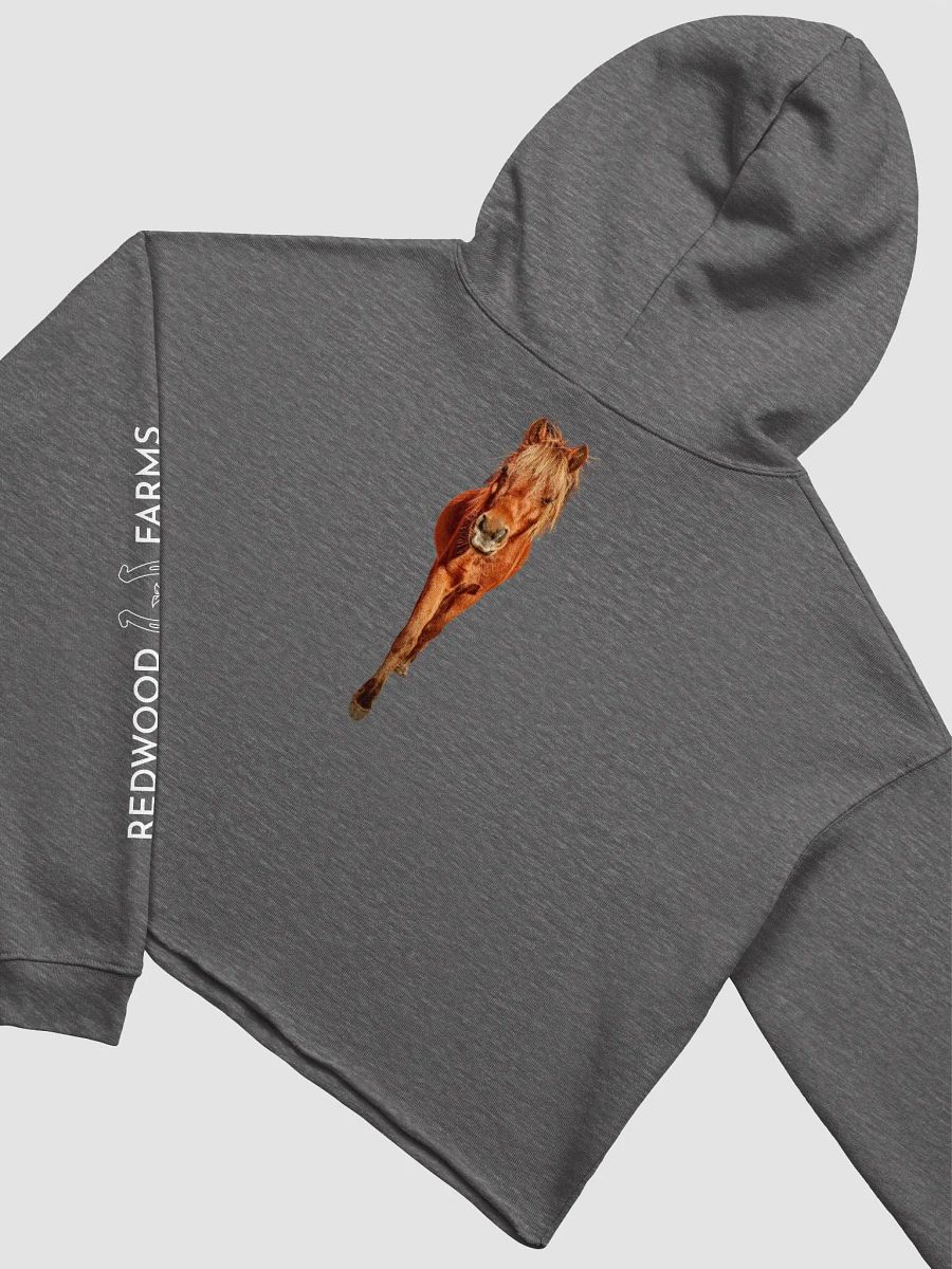 Mighty Moose product image (1)