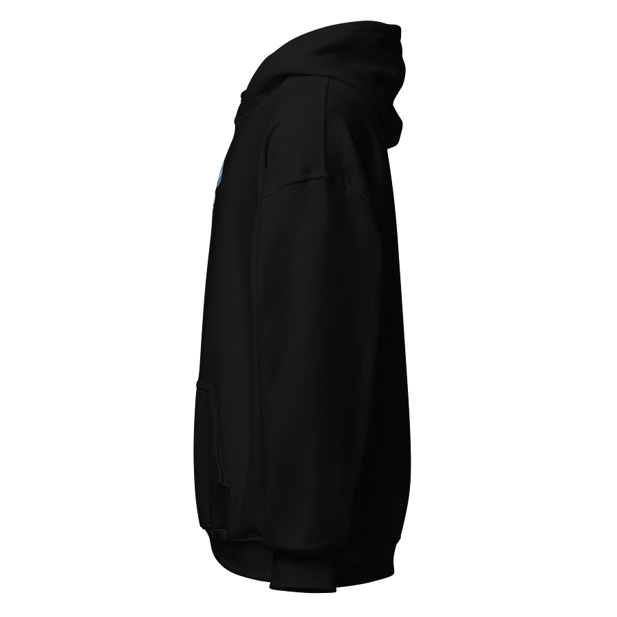 Alternative Demiboy hoodie product image (2)