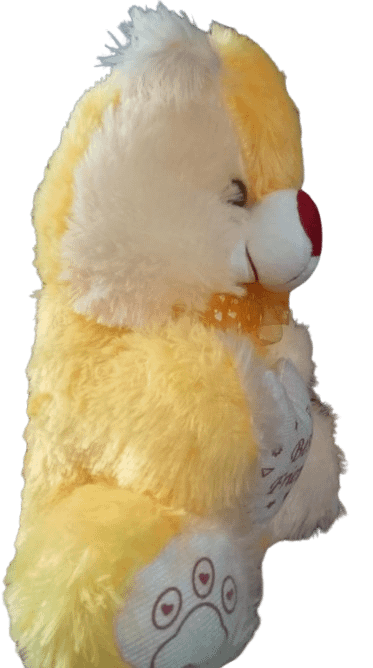 Teddy Bear product image (5)
