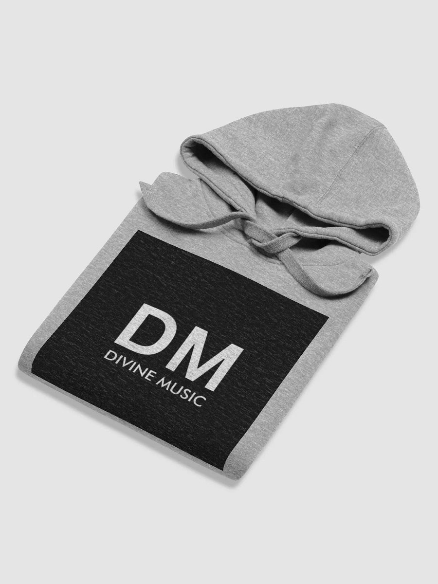 DIVINE HOODIE GRAY product image (6)
