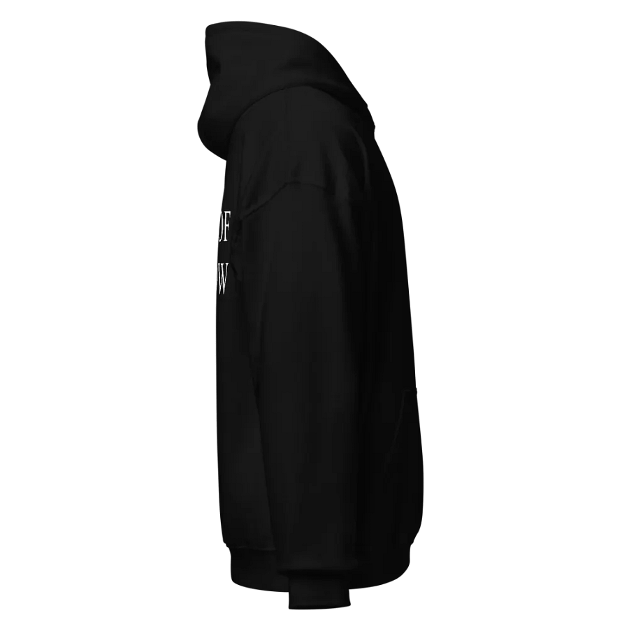 Places Call! Hoodie product image (4)