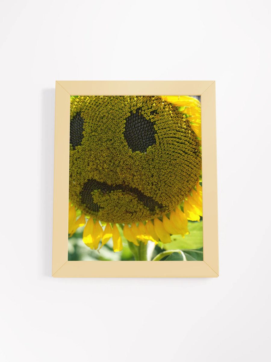 Framed Sunflower product image (1)