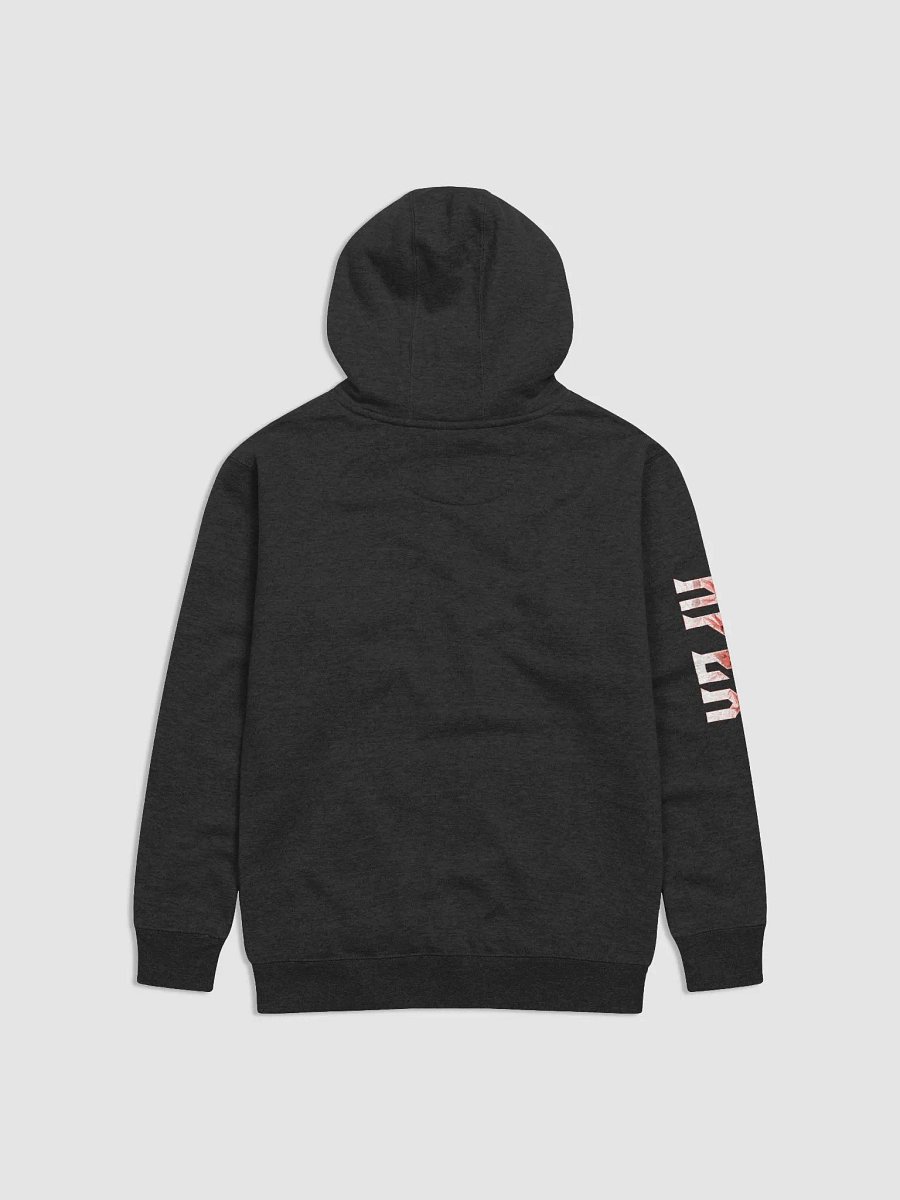 Apex Official Hoodie product image (2)
