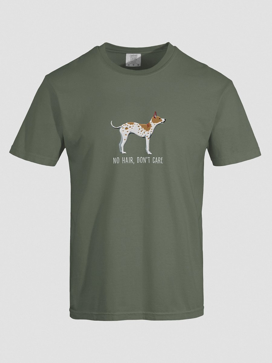 No Hair, Don't Care T-Shirt(Embroidered) of an American Hairless Terrier(Brown & White) product image (37)