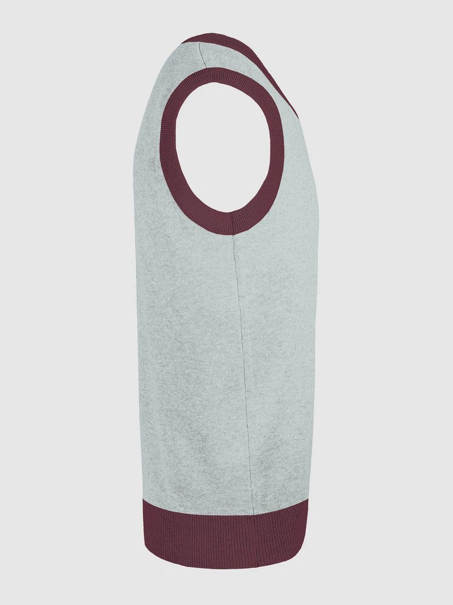 Dynamic Silhouette Knit V-Neck Vest product image (5)