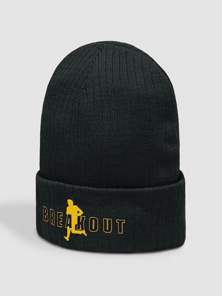 Breakout Ribbed Knit Beanie product image (2)
