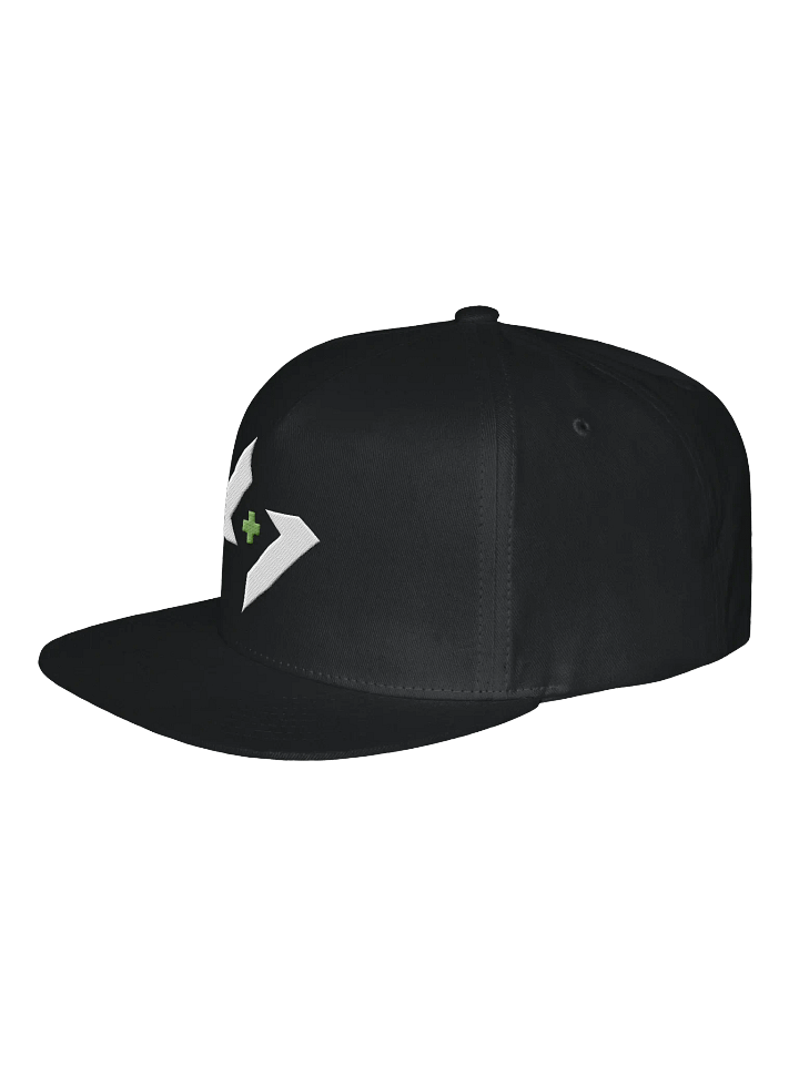Logo Snapback product image (8)