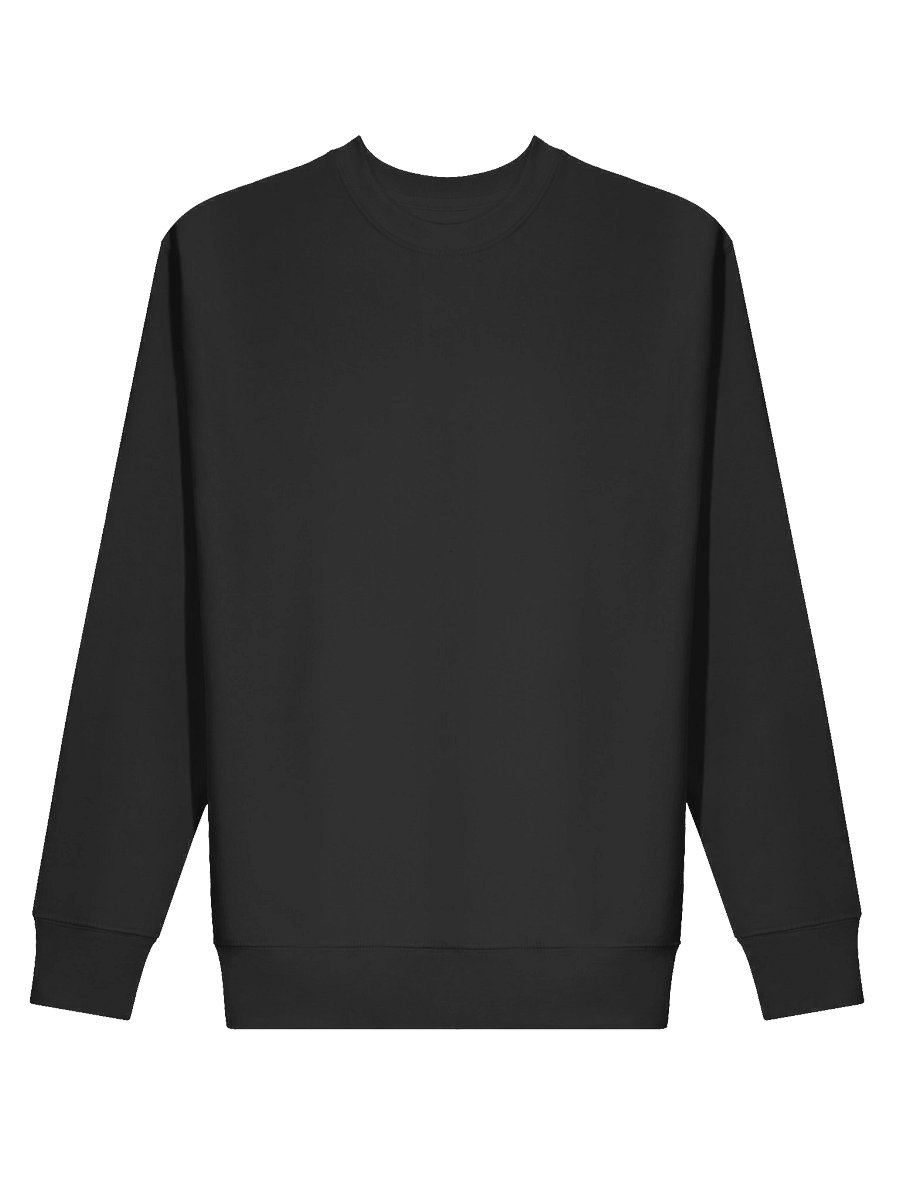 Premium Sweatshirt product image (2)