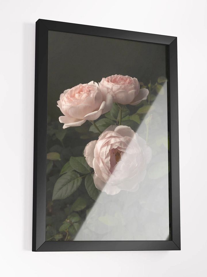 Trio of Roses product image (2)