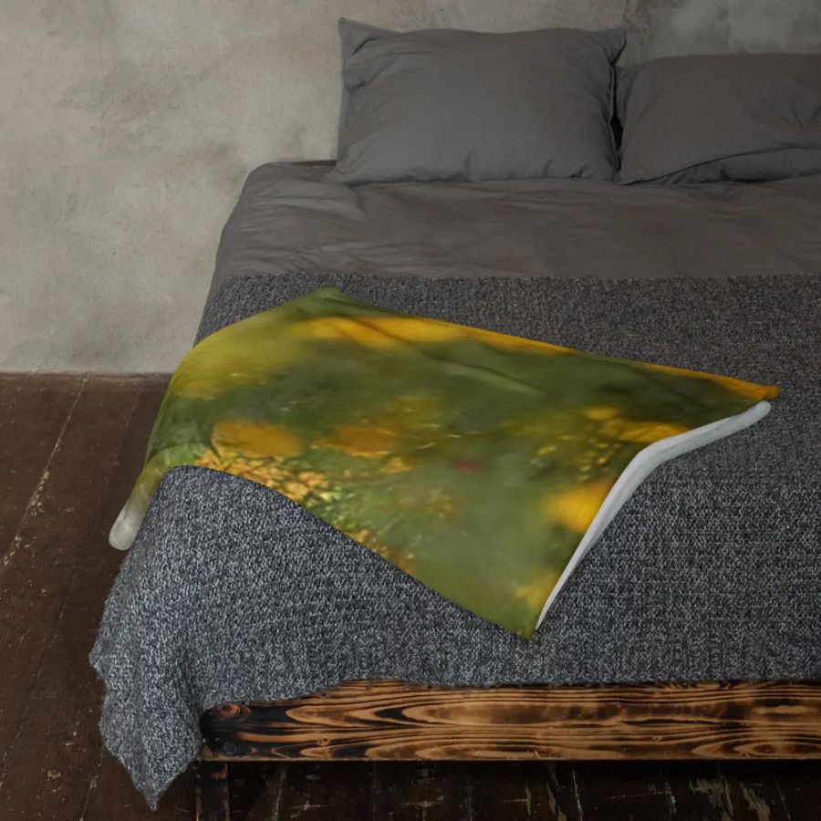 Pioneer Woman Throw Blanket product image (11)