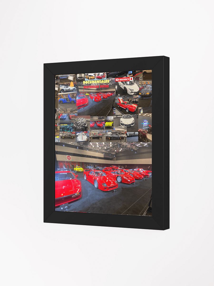 POSTER DHV product image (15)