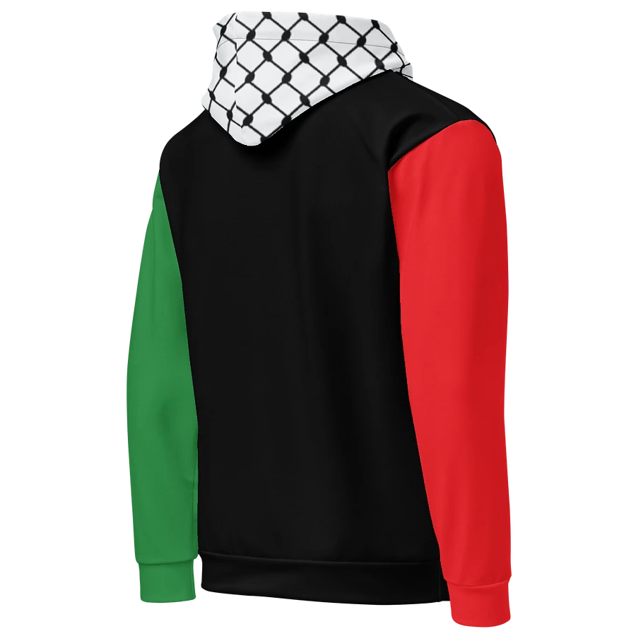 Color Block Unisex Hoodie product image (22)