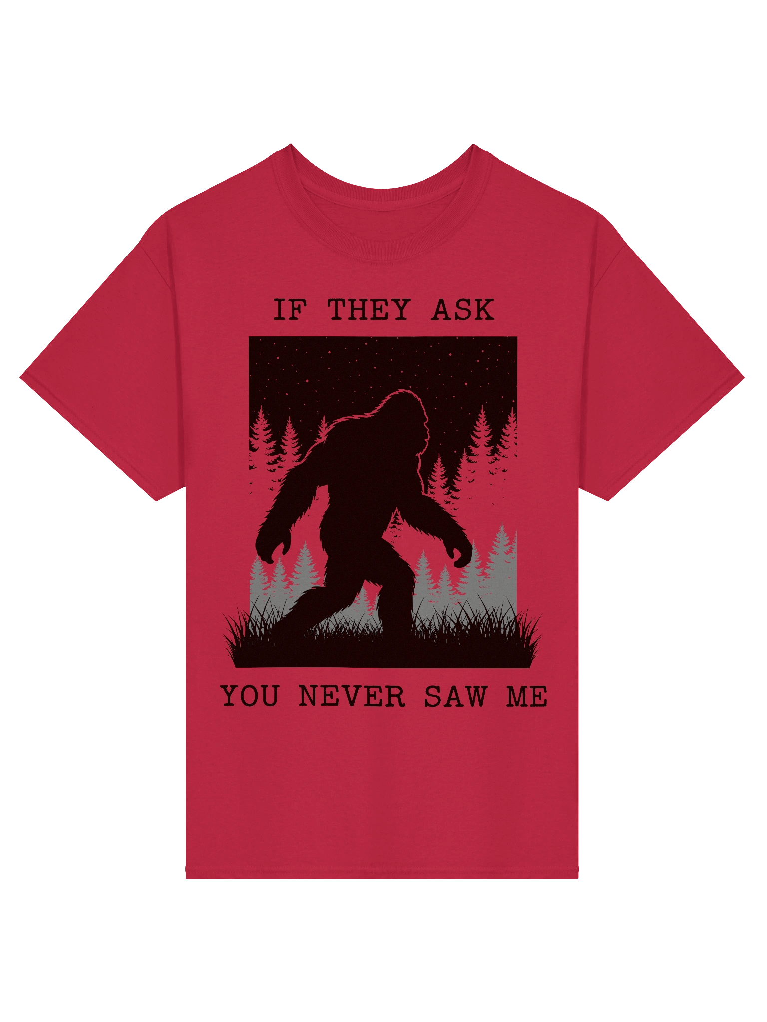 If They Ask You Never Saw Me - Tee product image (9)