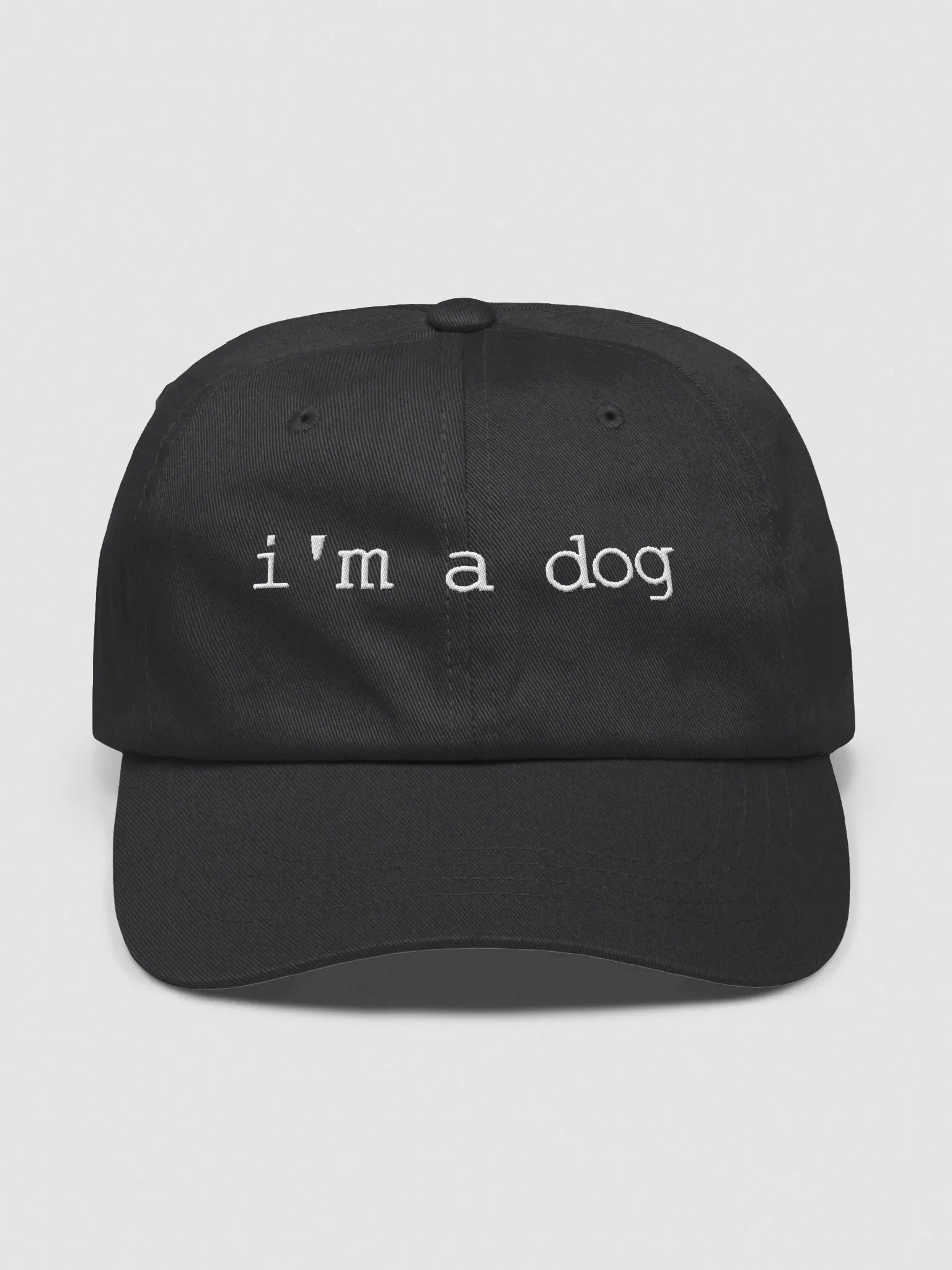 i'm a dog dad hat product image (1)