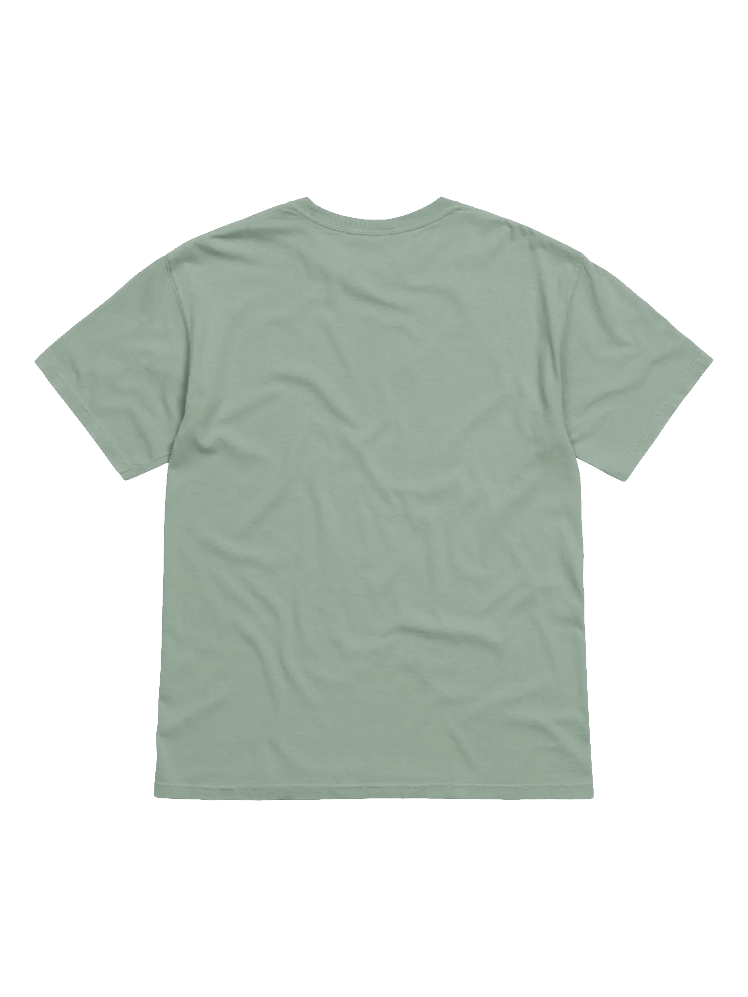 PTSD: Silent Struggle Comfort Colors Garment-Dyed Heavyweight T-Shirt product image (25)