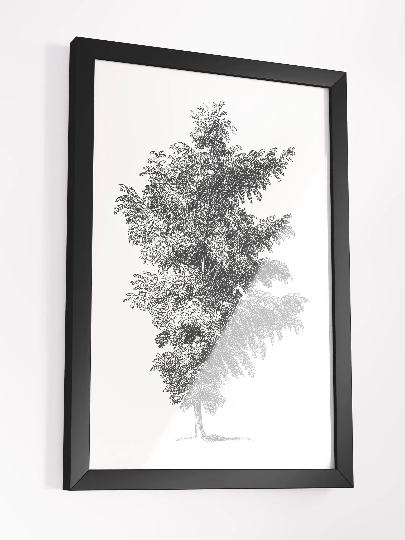 Woodland Trees #1 Framed Print product image (3)
