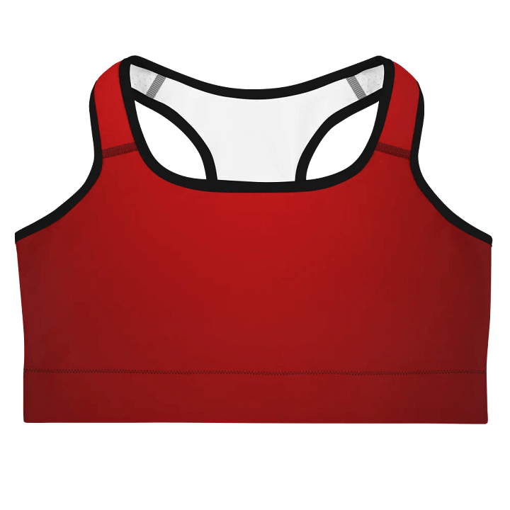 Red Gradient Power Sports Bra product image (3)