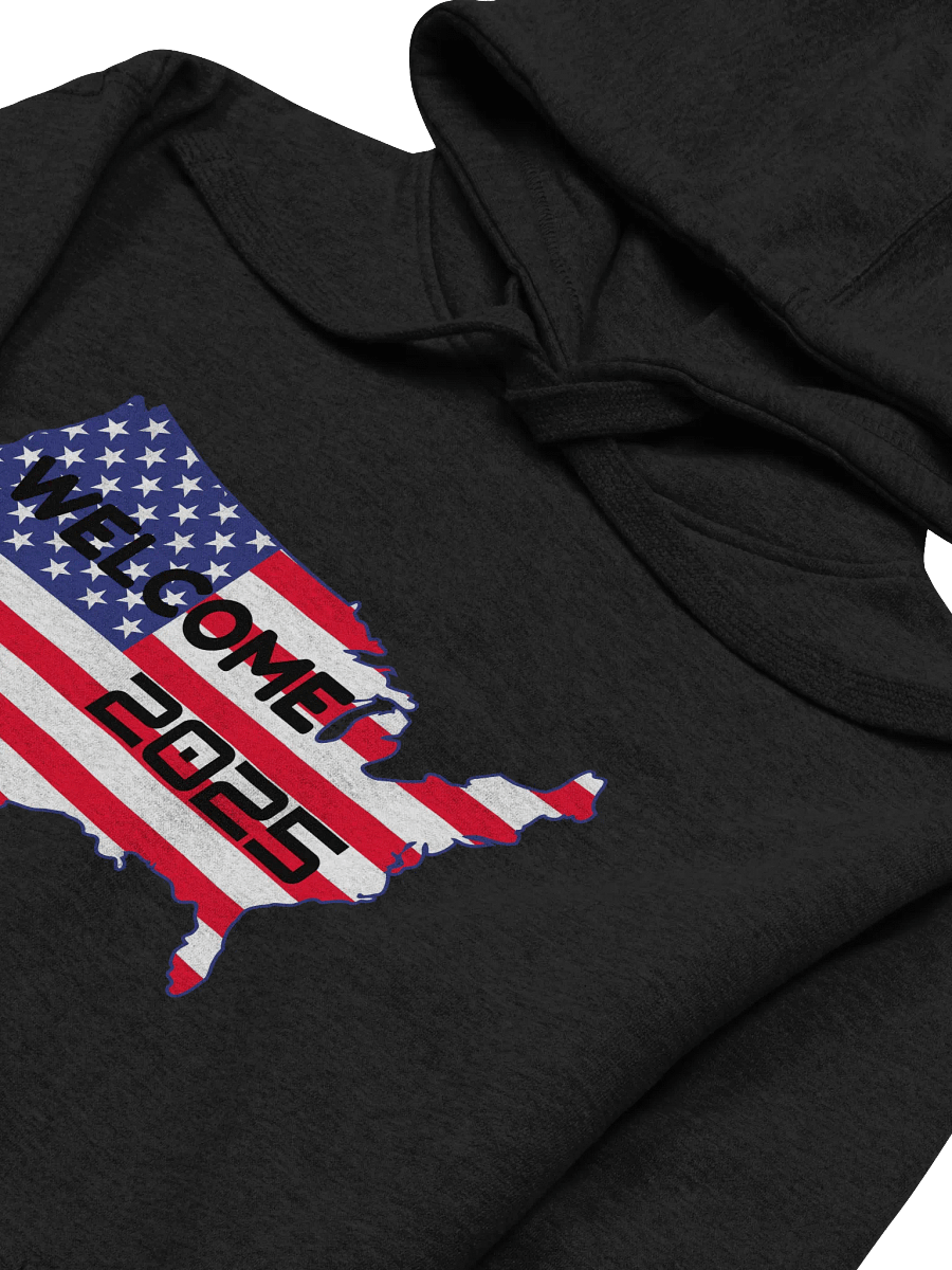 Patriotic Welcome 2025 Hoodie product image (35)
