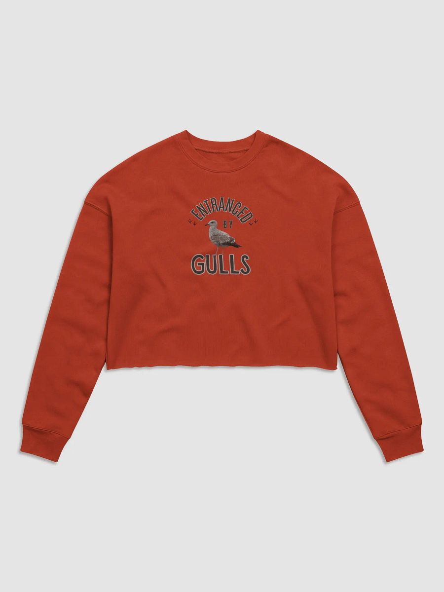 Entranced by Gulls Crop Sweatshirt product image (1)